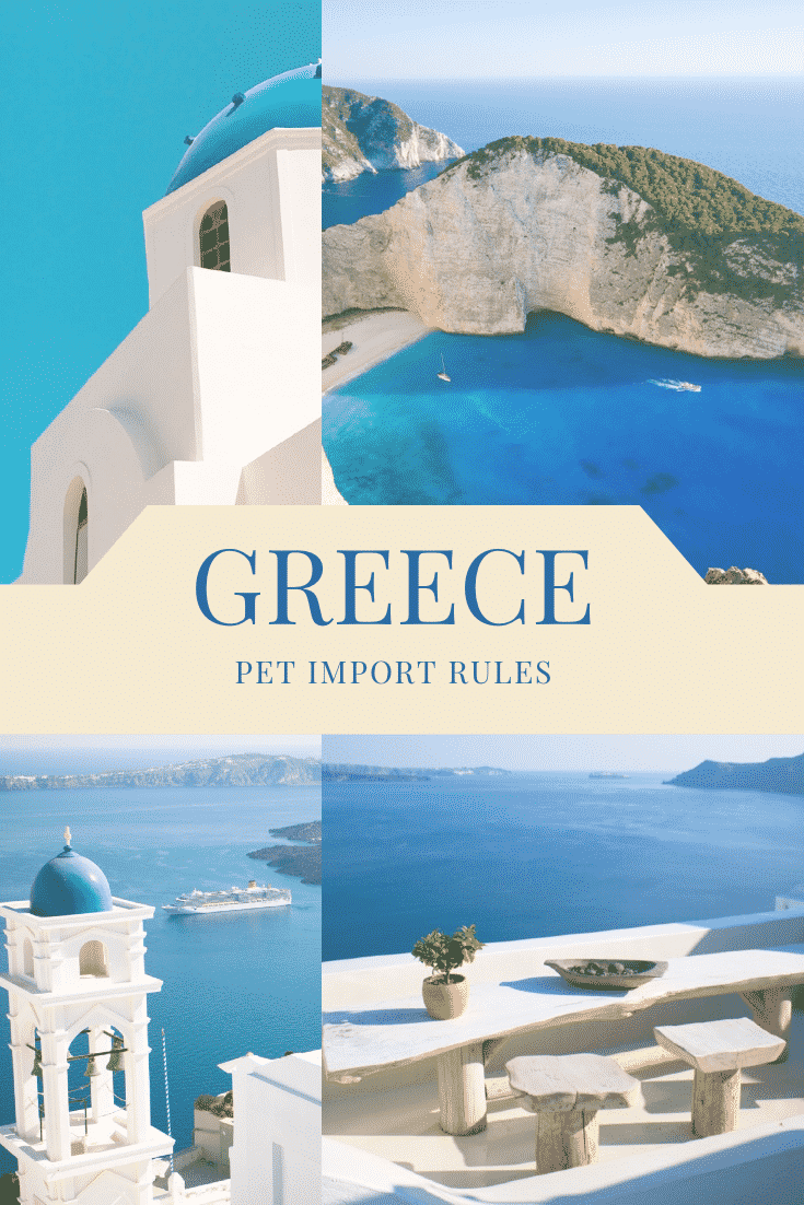 pet import Greece travelling to italy with a dog taking pet cats and dogs to Greece