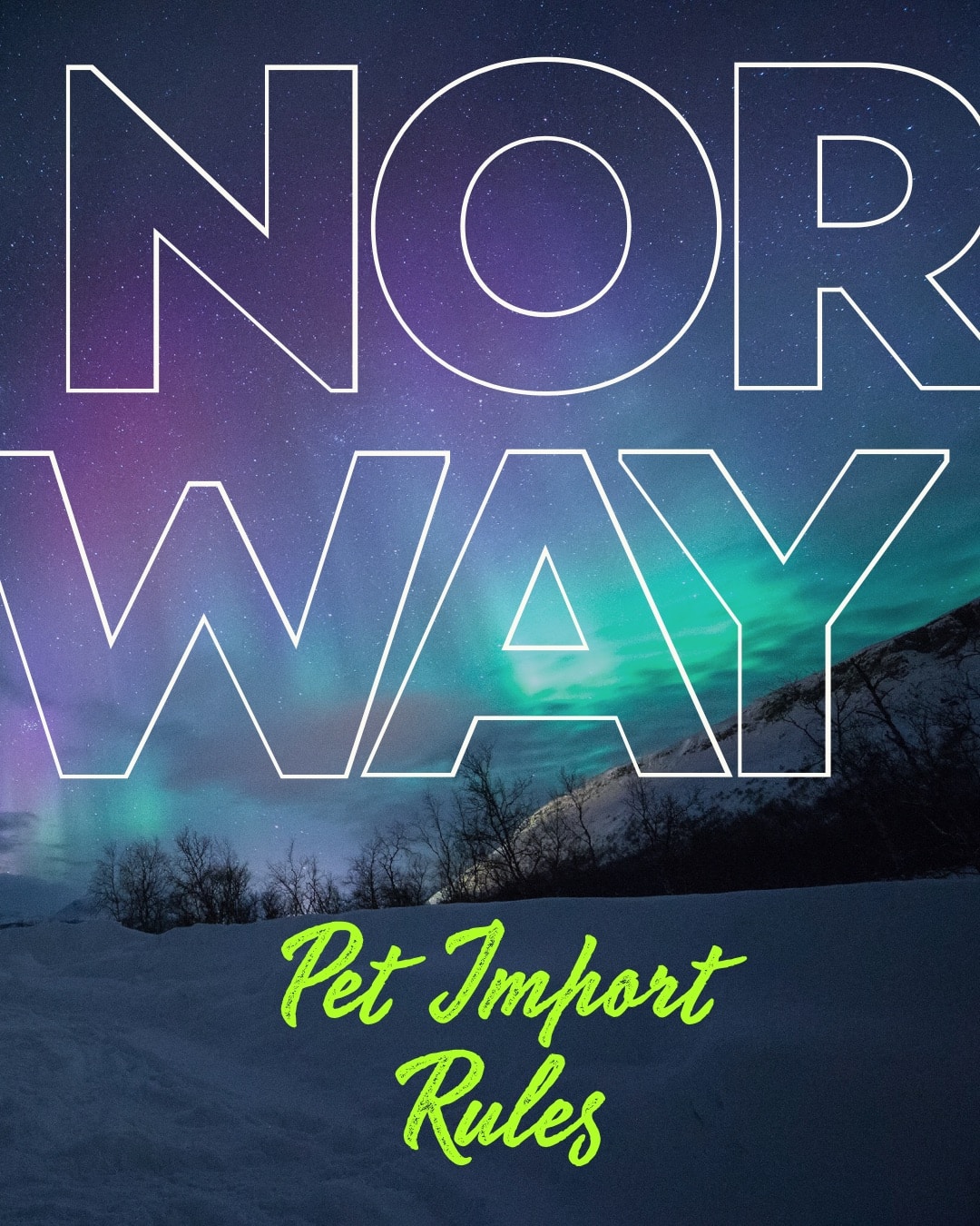 Norway pet import rules taking cats and dogs to Norway PETS pet passport