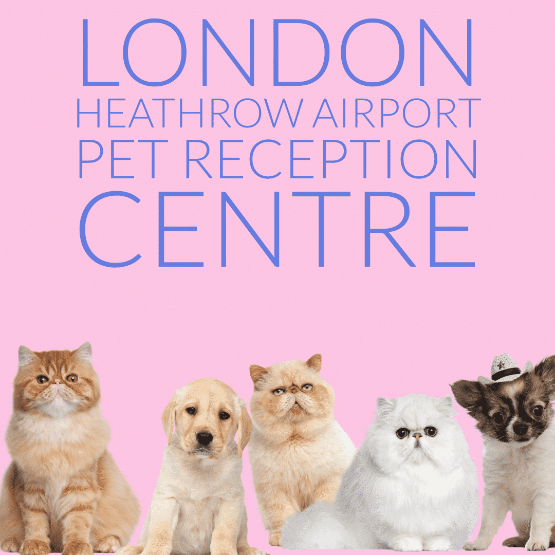 London heathrow airport pet reception centre cats dogs defra checks animal relief area