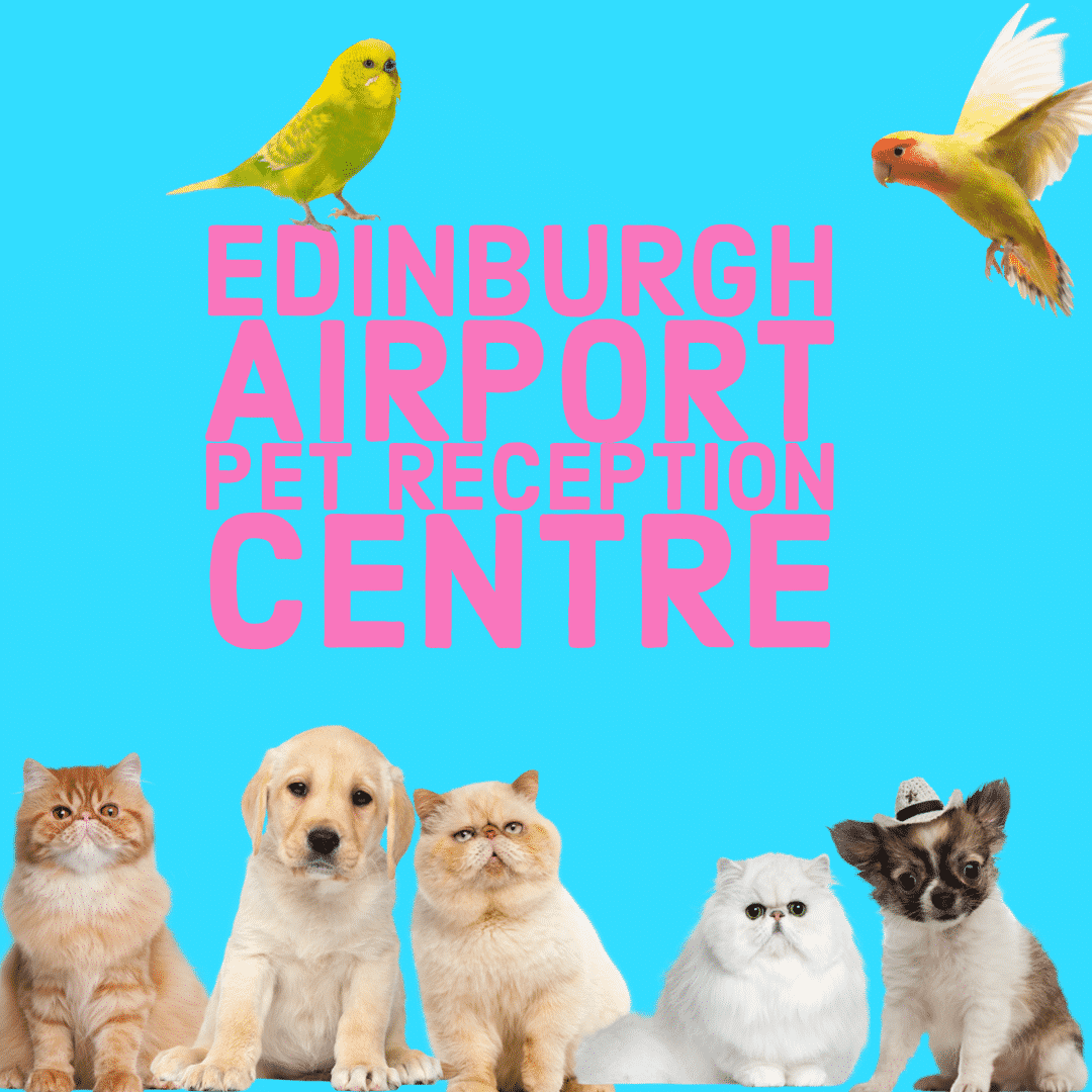 edinburgh airport pet reception centre cats dogs defra checks animal relief area