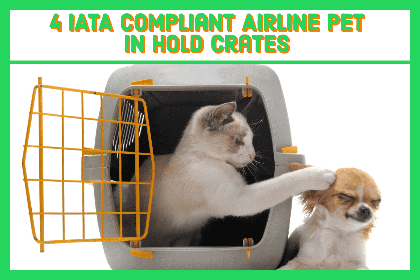 IATA compliant airline pet in hold crates cargo checked baggage cats and dogs