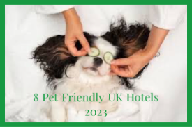 pet friendly hotels uk 2023 scotland england wales northern ireland dog friendly hotels
