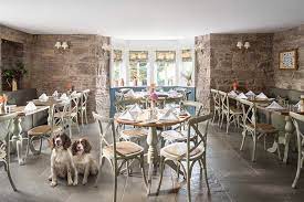 top 10 dog friendly hotels uk scotland meikleour arms perthshire